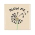 TILE BLOW ME BEIGE 10X10X1CM