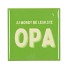 TILE LEUKSTE OPA GREEN 10X10X1CM