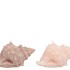 CANDLE SHELL CONCH IVORY/SAND 11X13CM