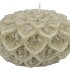 CANDLE DAHLIA PISTACHE 15X10CM