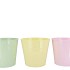 ZINC DREAMY PASTEL MIX BUCKET BASIC ASS 19X18X15CM
