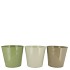 ZINC SUMMER GREEN MIX BUCKET BASIC ASS 15X14X11CM