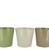 ZINC SUMMER GREEN MIX BUCKET BASIC ASS 19X18X15CM NM