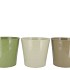 ZINC SUMMER GREEN MIX BUCKET BASIC ASS 22X20X16CM NM