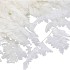 DRY BLEACHED LEDERVAREN PREPARED 45X40CM NM