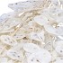 DRY BLEACHED LUNARIA 90X15CM
