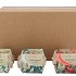 GREENGIFT DAISY EGGPLANT SWEET PEPPER MIX CARTON 11X8CM NM