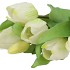 SILK TULIP BOUQUET 7X WHITE 17X30CM
