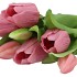 SILK TULIP BOUQUET 7X PINK STAR 17X30CM