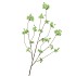 SILK CHERRY BLOSSOM GREEN 126CM