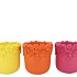 GIGI DUTCH ORANGE MIX FLOWER POT ASS 27X27X25M