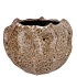MIKA WILD BROWN POT WAVY 20X14CM