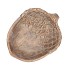CONCRETE GOLDEN ACORN 24X20X6CM