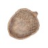 CONCRETE GOLDEN ACORN 21X17X5CM