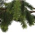 SILK PINE WITH CONE 122CM