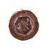 NATURE ELM BRANCH BROWN PLANTER WITH BOTTOM 14X10CM
