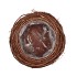 NATURE ELM BRANCH BROWN PLANTER WITH BOTTOM 18X15CM
