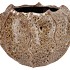 MIKA WILD BROWN POT WAVY 36X26CM