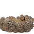 CONCRETE SCOTTISH BROWN PINECONE DISH 25X19X11CM