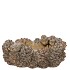CONCRETE SCOTTISH BROWN PINECONE DISH 23X16X11CM