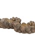CONCRETE SCOTTISH BROWN PINECONE DISH 23X16X11CM