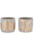 GOLDIE NORDIC BLUE XMAS ASS 13X13X10CM