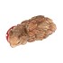WONDERLAND SCOTTISH BROWN SQUIRREL MUSHROOM 11X5X12CM