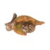 WONDERLAND SCOTTISH BROWN LEAF, BIRD & HEDGEHOG 14X8X10CM