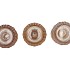 JAZZ SCOTTISH BROWN T-LIGHT PINECONE ASS 9X18CM