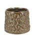 ALORA MAJESTIC GREEN POT 13X13X11CM