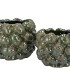 MILOU MAJESTIC GREEN POT ACORNS ALLOVER 25X25X18CM