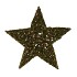 FESTIVE STAR POPLAR MOSS 70X70X9CM