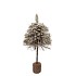 FESTIVE TREE POPLAR MOSS WITH SNOW 20X20X50CM