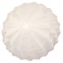 PORTO PINE TREE WHITE 25X25X65CM NM