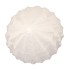 PORTO PINE TREE WHITE 21X21X50CM