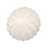 PORTO PINE TREE WHITE 17X17X38CM