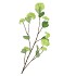 SILK VIBURNUM GREEN 117CM