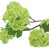 SILK VIBURNUM GREEN 117CM