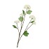 SILK VIBURNUM WHITE 69CM