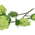 SILK VIBURNUM GREEN 69CM