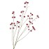 SILK APPLE SNOW RED 135CM