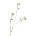 SILK APPLE SNOW GREEN 93CM NM