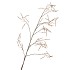 SILK HAZEL BRANCH LIGHT COFFEE 130CM