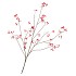 SILK BERRY BLOSSOM RED 135CM