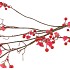 SILK BERRY BLOSSOM RED 135CM