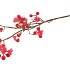 SILK BERRY BLOSSOM RED 95CM