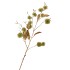 SILK CHESTNUT 106CM