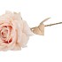 SILK ROSE GOLDIE CREAM 75CM