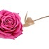 SILK ROSE GOLDIE FUCHSIA 75CM