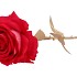 SILK ROSE GOLDIE BEAUTY 75CM